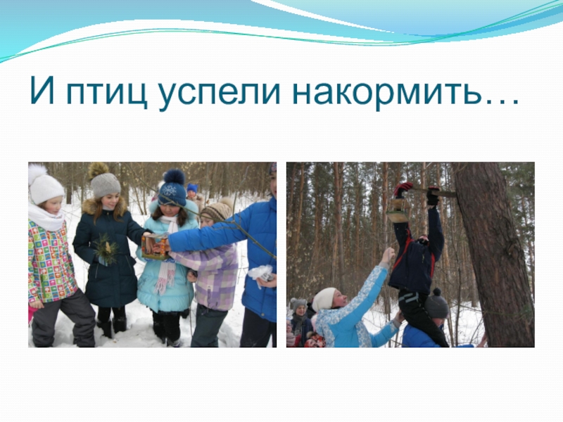 Презентация Чему научились, хотим поделиться. ЗОЖ И птиц успели накормить… И птиц успели накормить…
