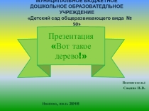 Презентация по познавательному развитию на тему Вот такое дерево (Старшая группа)