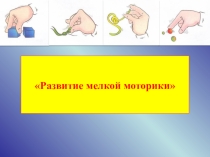 Презентация Развитие мелкой моторики