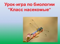 Презентация по биологии на тему Насекомые (7 класс)