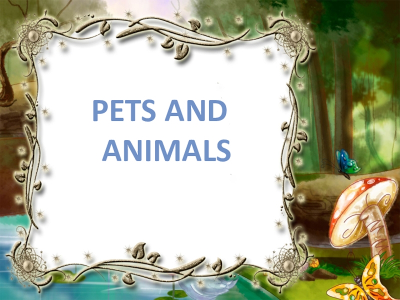Презентация урока по английскому языку на тему Животные PETS AND ANIMALS PETS AND ANIMALS