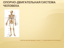 Презентация по биологии Опорно-двигательная система человека