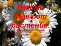Презентация по окружающему миру Какими бывают растения