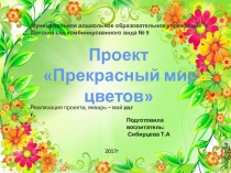 Проект Прекрасный мир цветов