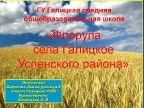 Презентация к научному проекту Флорула села Галицкое Успенского района