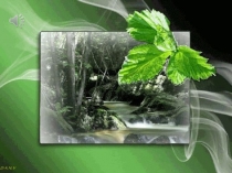 Презентация по окружающему миру: Тундра. часть1