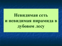 Презентация по окружающему миру для 3 класса Невидимая сеть и невидимая пирамида в дубовом лесу