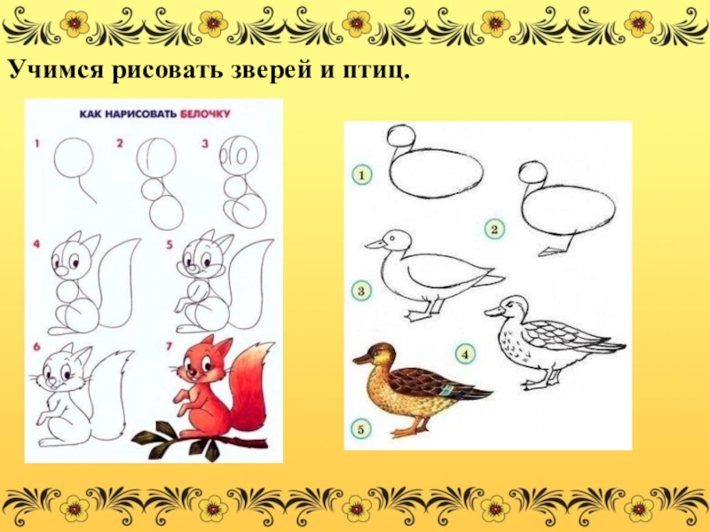 Рисуем птицу поэтапно презентация 2 класс. Рисование птиц и животных. Учимся рисовать. Птицы. Поэтапное рисование птиц. Поэтапное рисование птицы в детском саду.