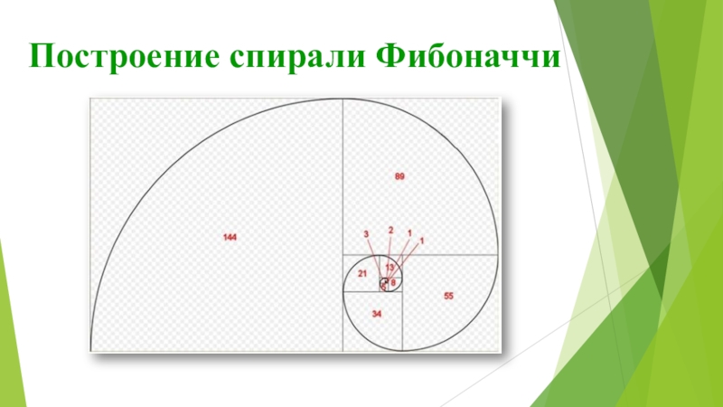 Презентация к работе Числа Фибоначчи Построение спирали Фибоначчи Построение спирали Фибоначчи