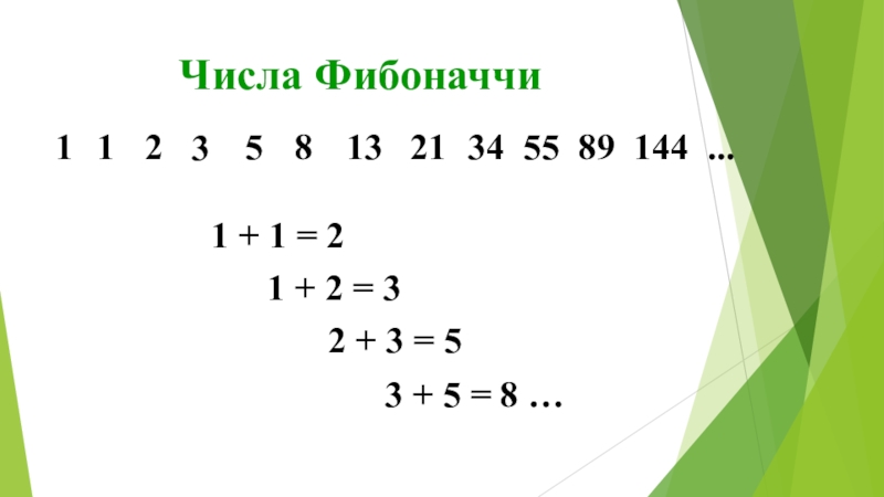 Презентация к работе Числа Фибоначчи Числа Фибоначчи112358132134 55 89 144 ...1 + 1 = 2 3 Числа Фибоначчи112358132134 55 89 144 ...1 + 1 = 2 3 + 5 = 8 …2 +