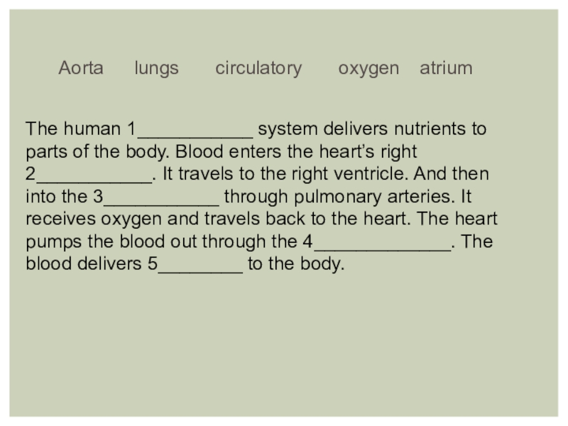 Кровь и циркуляционная система крови Aorta lungs circulatory oxygen atriumThe human 1___________ system Aorta lungs circulatory oxygen atriumThe human 1___________ system delivers