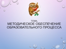 Методическое обеспечение образовательного процесса с применением профстандарта педагога дополнительного образования