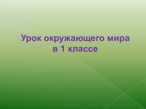 Презентация по окружающему миру 1 класс