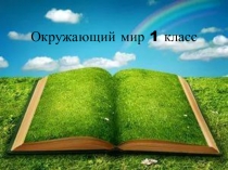Презентация со - бытия по окружающему миру на тему Съедобные и несъедобные грибы (1класс)
