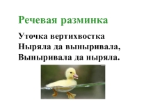 Презентация к уроку литературного чтения Б. Житков  Храбрый утёнок