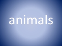 Презентация к обобщающему уроку World animals для 5 класса (по учебнику Spotlight 5)