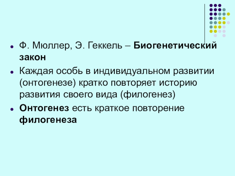 Закон геккеля мюллера. Биогенетический закон Геккеля. Биогенетический закон. Мюллер биогенетический закон.