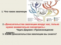 Презентация по биологии на тему Доказательство революции 11