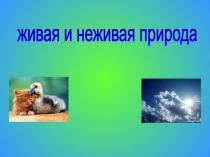 Презентация по окружающему миру на тему Живая и неживая природа