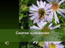 Урок развития речи на тему Сжатие и развертывание текста. Подготовка к написанию сжатого изложения