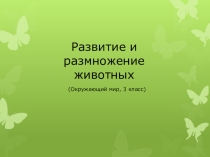 Презентация по окружающему миру на тему  Размножение и развитие животных (3 класс)