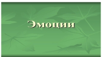 Презентация по окружающему миру на тему Мир чувств