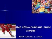 Зимние Олимпийские виды спорта