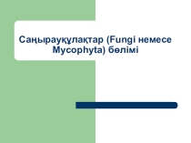 Презентация по биологии Санырауқұлақтар