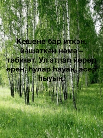 Презентация по ИКБ Природа Башкирии