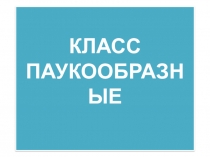 Презентация по биологии на тему Класс Паукообразные