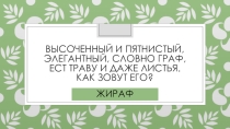 Презентация к уроку рисования для начальных классов, на тему: Жираф