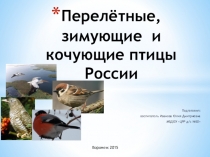 Перелётные и зимующие птицы средняя группа