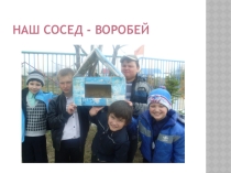 Наш сосед - воробей.