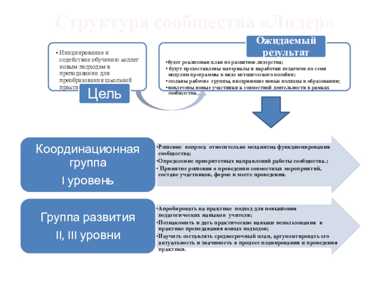 Структура сообщества сертифицированных учителей Структура сообщества «Лидер» Структура сообщества «Лидер»
