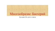 Презентация по биологии для 6 класса Многообразие бактерий