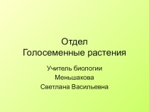 Презентация к уроку биологии Отдел Голосеменные растения (6 класс)