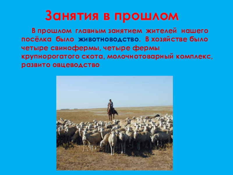 Прошлое, настоящее и будущее посёлка Степной Занятия в прошлом В прошлом главным занятием Занятия в прошлом В прошлом главным занятием жителей нашего посёлка