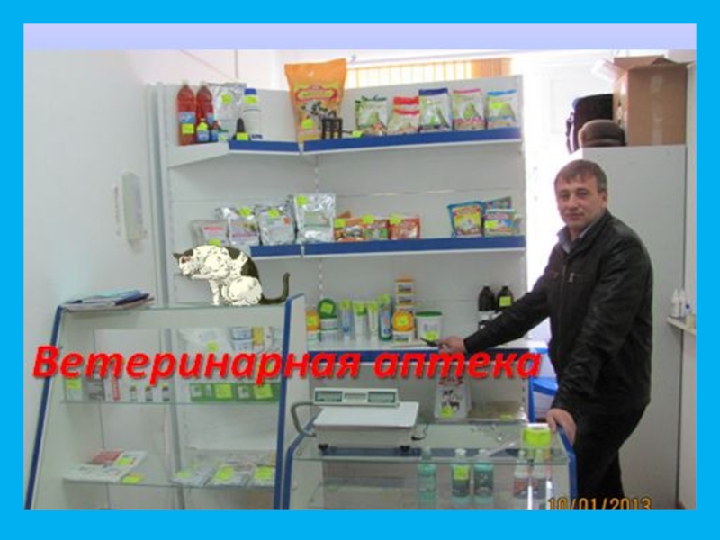 Прошлое, настоящее и будущее посёлка Степной