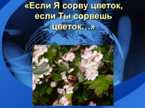 Экологическое мероприятие (2 класс)