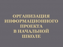 Презентация Организация информационного проекта