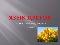 Язык цветов
