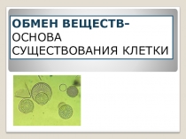 Презентация по теме Обмен веществ - основа существования клетки 9 класс