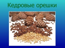 Презентация по забайкаловедению 3 класс