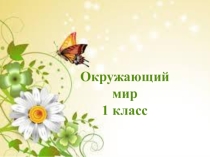 Презентация и конспект урока на тему Кто такие насекомые