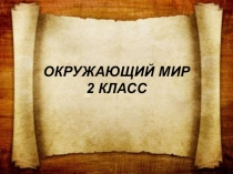 Презентация по окружающему миру на тему Про кошек и собак (2 класс)