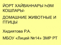 Йорт хайваннары, кошлары ИКТ