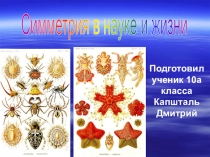 Презентация Симметрия в науке и жизни