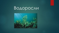 Презентация по предмету Естествознание, раздел Биология
