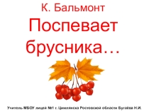 Презентация по чтению 2 класс