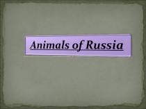 Презентация по английскому языку  Животные России